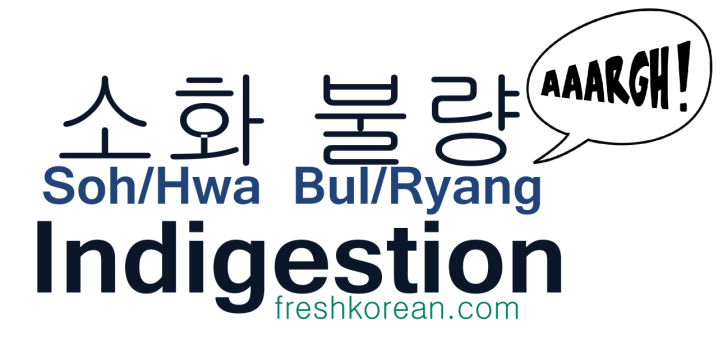 Indigestion - Fresh Korean Phrase Card