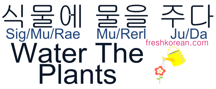 Water The Plants - Fresh Korean Phrase Card